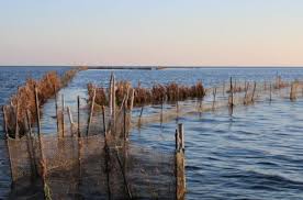 Charfia traditionnelle